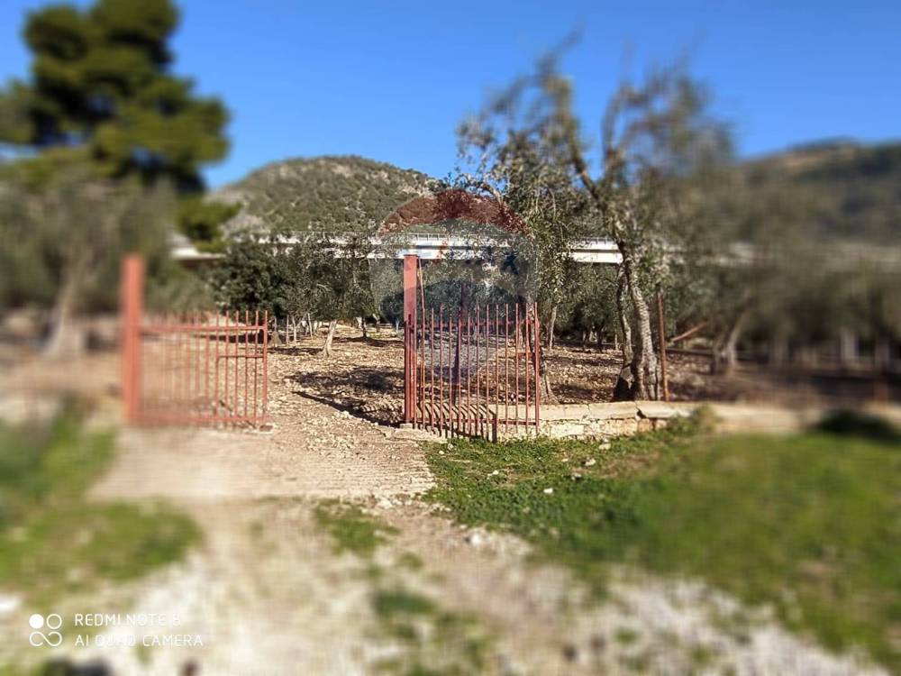 terreno agricolo in vendita a Carlantino