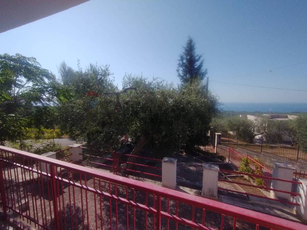 casa indipendente in vendita a Carlantino