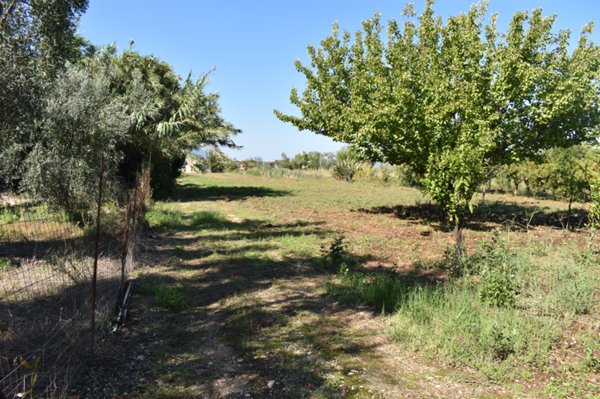 terreno agricolo in vendita a Carpino