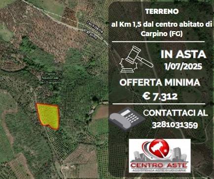 terreno agricolo in vendita a Carpino