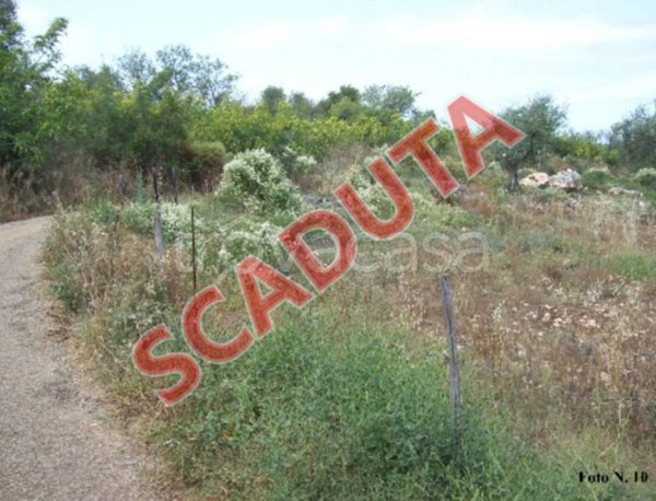 terreno agricolo in vendita a Carpino