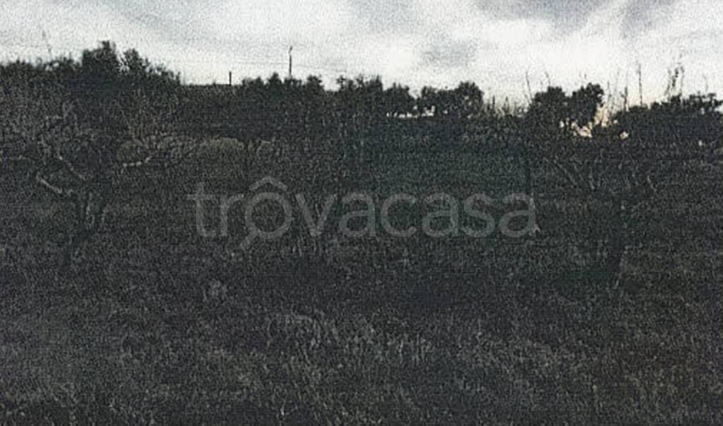 terreno agricolo in vendita a Celenza Valfortore