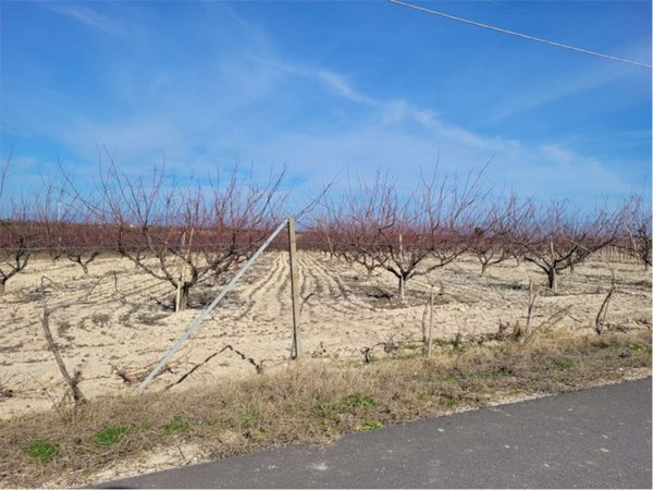 appartamento in vendita a Cerignola