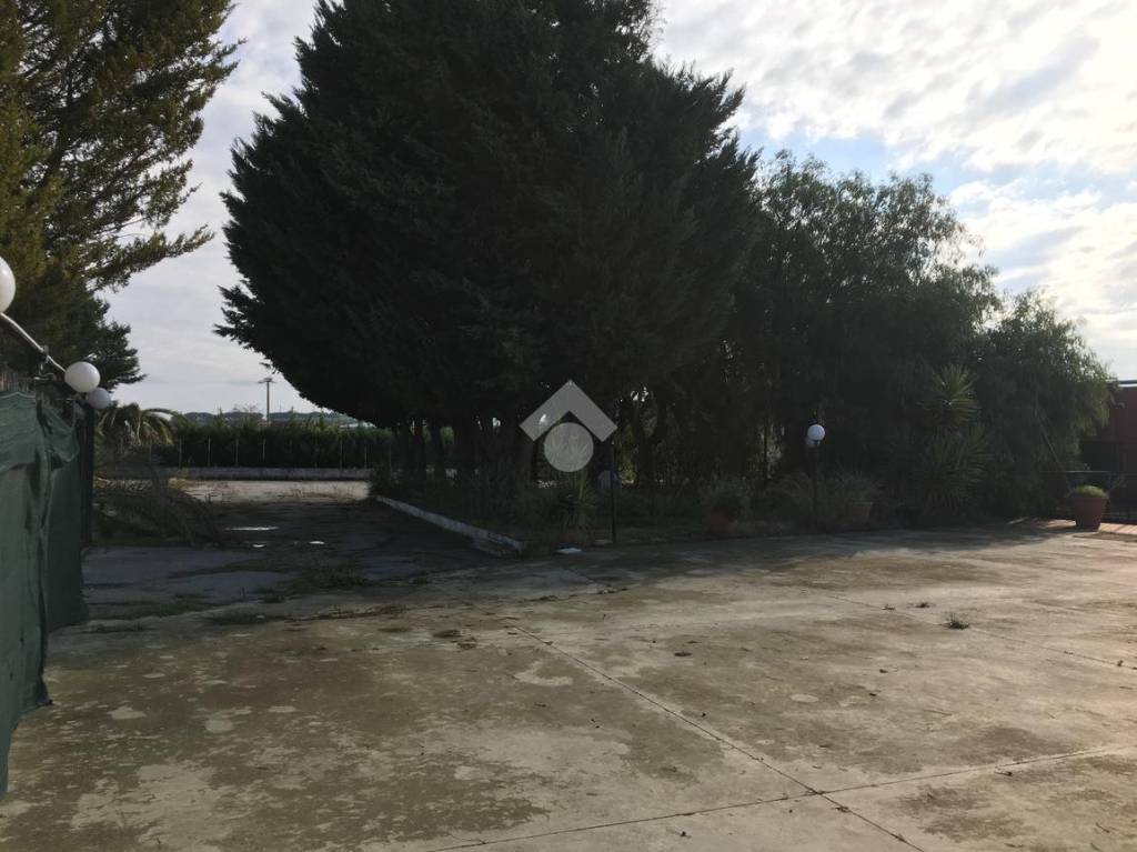 negozio in vendita a Cerignola