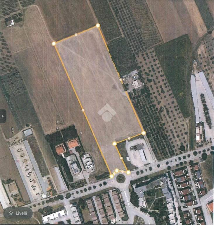 terreno agricolo in vendita a Cerignola in zona Centro Città