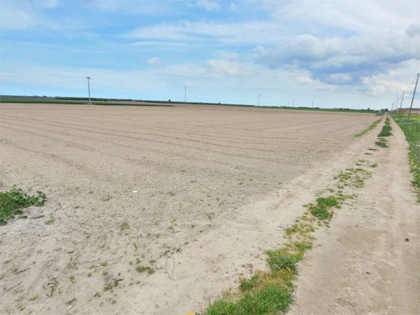 appartamento in vendita a Cerignola