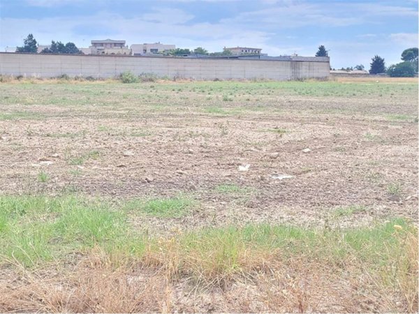 terreno agricolo in vendita a Cerignola