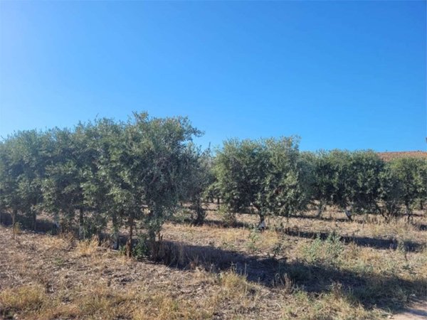 appartamento in vendita a Cerignola