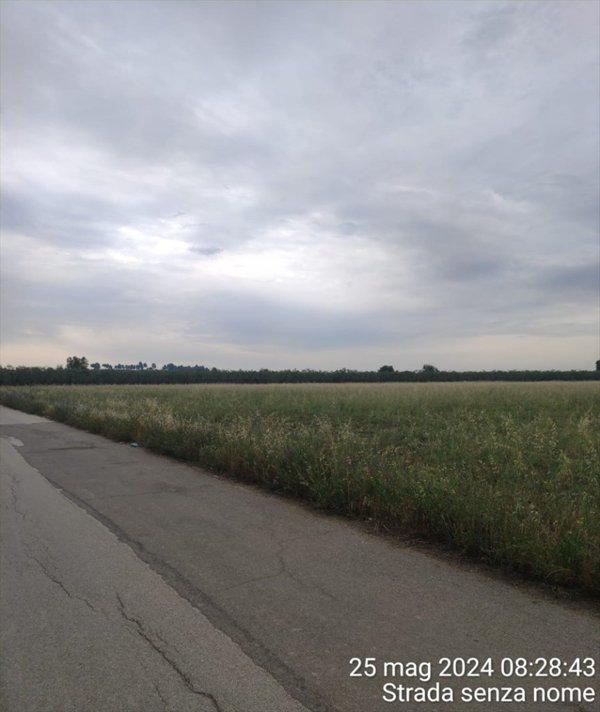 terreno agricolo in vendita a Cerignola