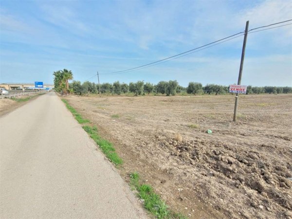 terreno agricolo in vendita a Cerignola