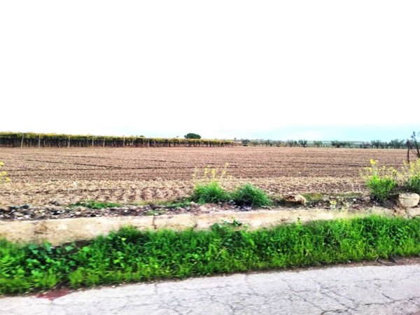 terreno agricolo in vendita a Cerignola