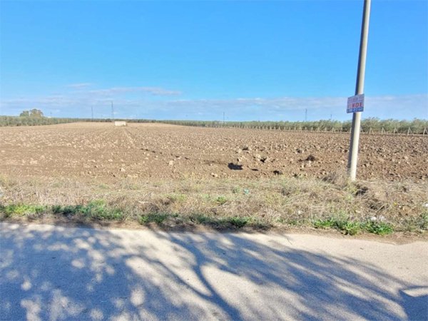 appartamento in vendita a Cerignola