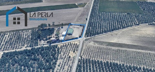 locale commerciale in vendita a Cerignola