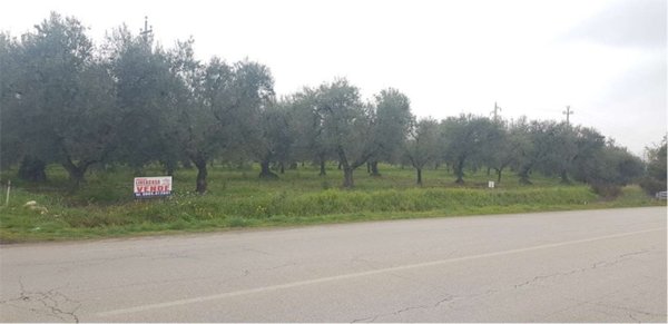 terreno agricolo in vendita a Cerignola