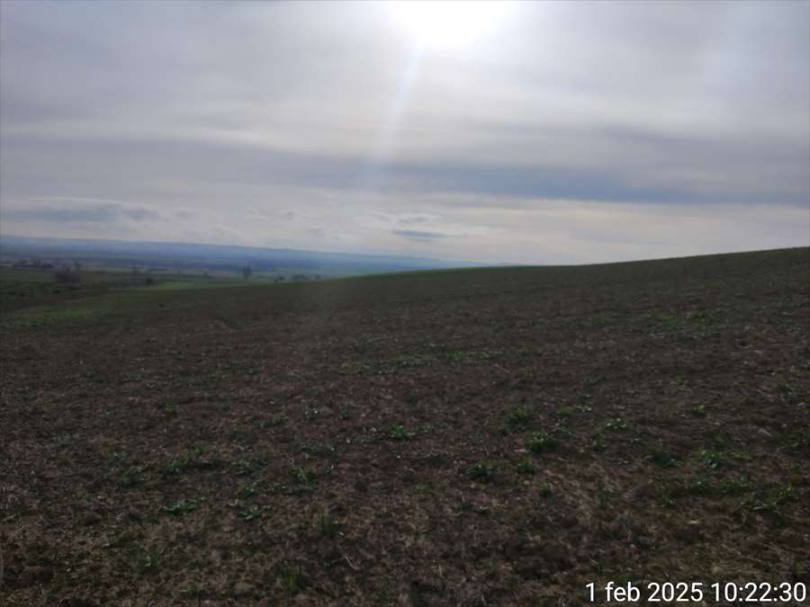 terreno agricolo in vendita a Cerignola in zona Moschella