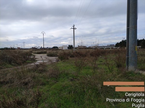 terreno agricolo in vendita a Cerignola