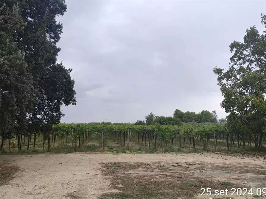 mansarda in vendita a Cerignola