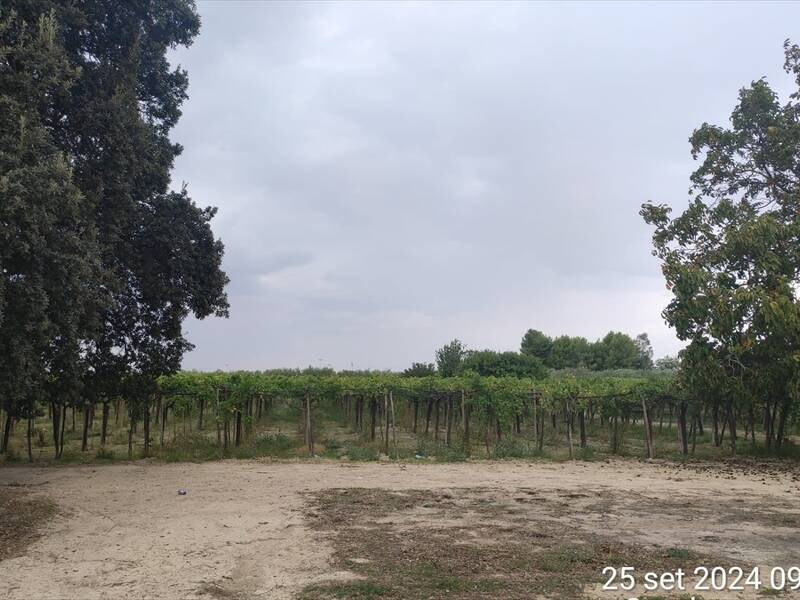 mansarda in vendita a Cerignola