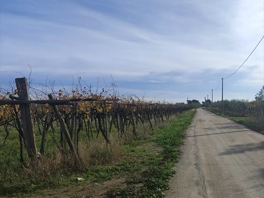 mansarda in vendita a Cerignola