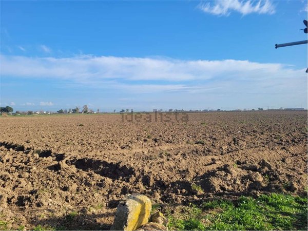 appartamento in vendita a Cerignola