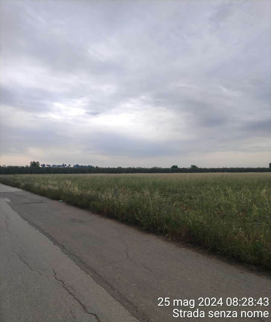 terreno agricolo in vendita a Cerignola