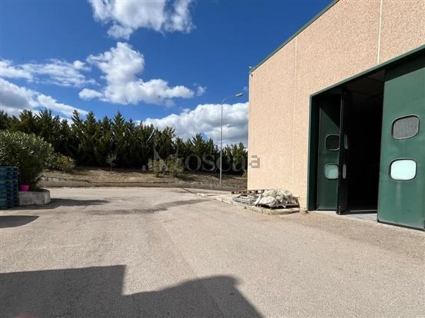 capannone in vendita a Cerignola