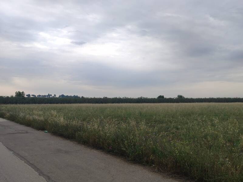 terreno agricolo in vendita a Cerignola