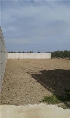terreno agricolo in vendita a Cerignola
