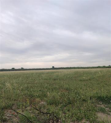 terreno agricolo in vendita a Cerignola
