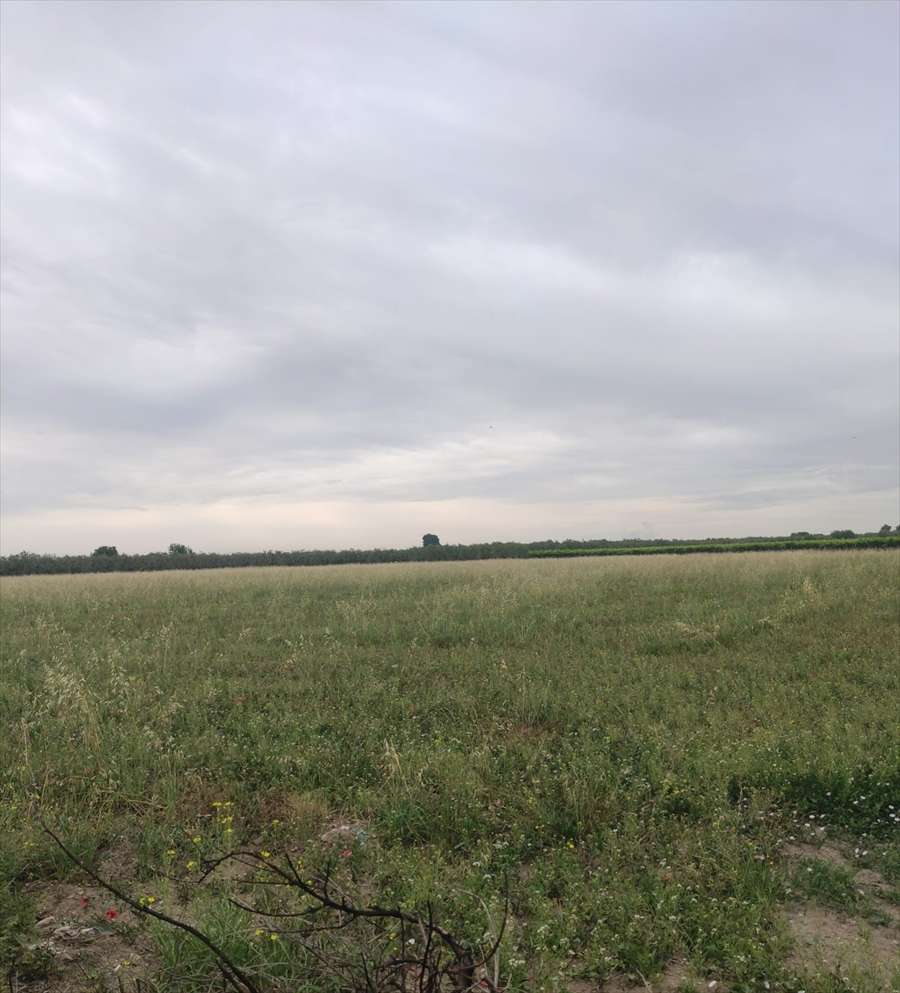 terreno agricolo in vendita a Cerignola