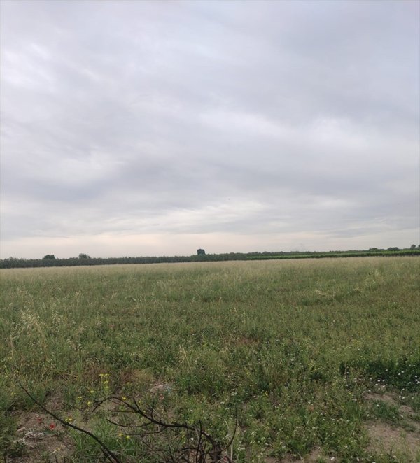 terreno agricolo in vendita a Cerignola