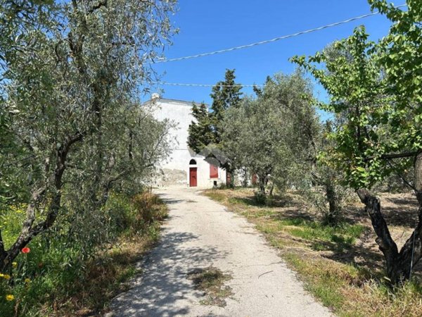 terreno agricolo in vendita a Cerignola in zona Cerignola Campagna