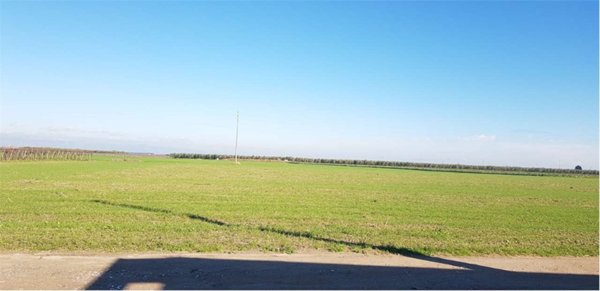 terreno agricolo in vendita a Cerignola