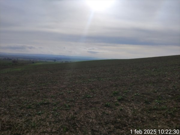 terreno agricolo in vendita a Cerignola in zona Moschella