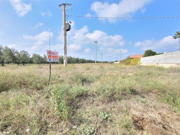 terreno agricolo in vendita a Cerignola