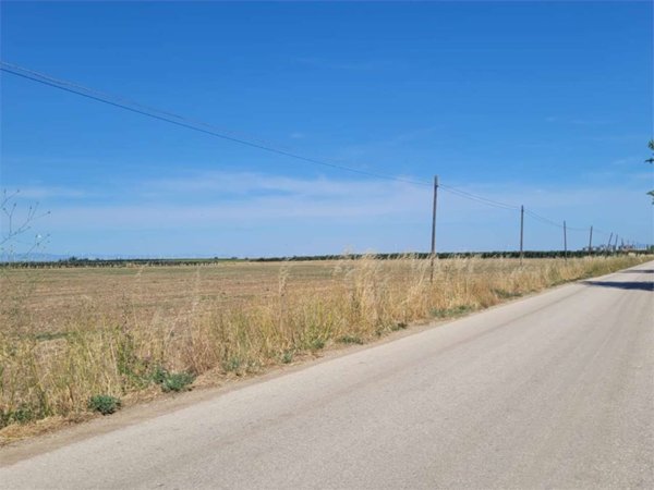 terreno agricolo in vendita a Cerignola in zona Pozzo Terraneo