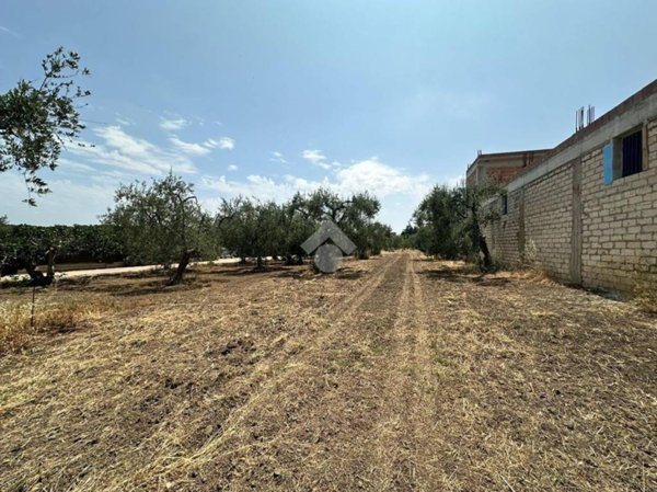 terreno agricolo in vendita a Cerignola
