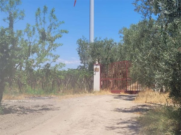 azienda agricola in vendita a Cerignola