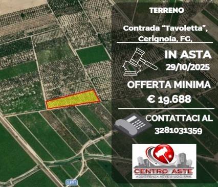 casa indipendente in vendita a Cerignola