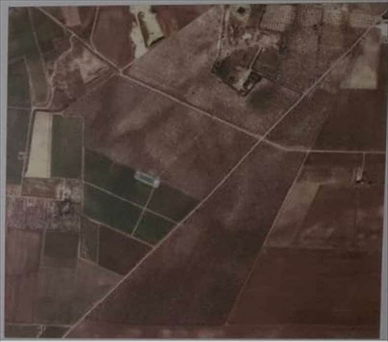 terreno agricolo in vendita a Cerignola