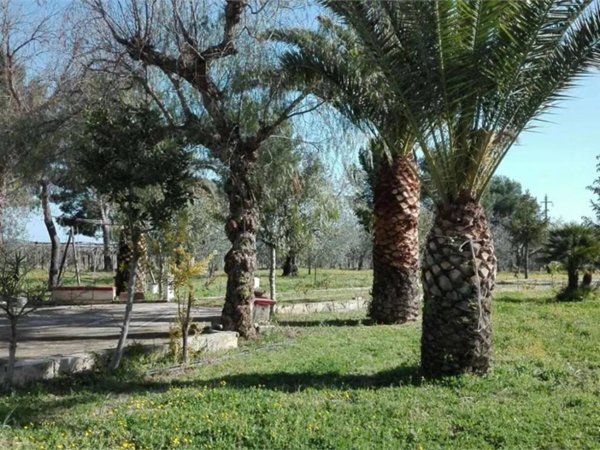 casa indipendente in vendita a Cerignola