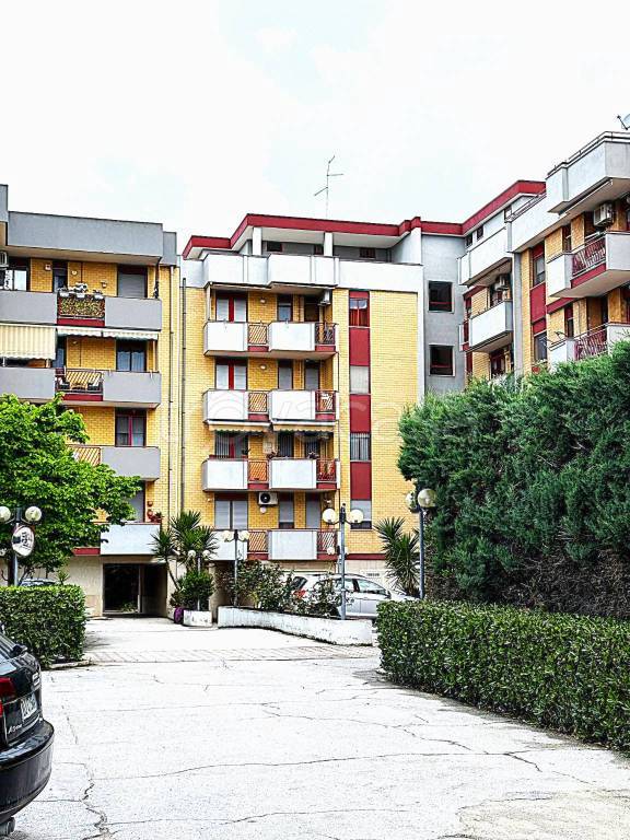 appartamento in vendita a Cerignola