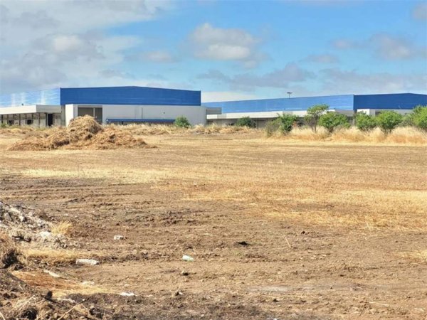 terreno agricolo in vendita a Cerignola