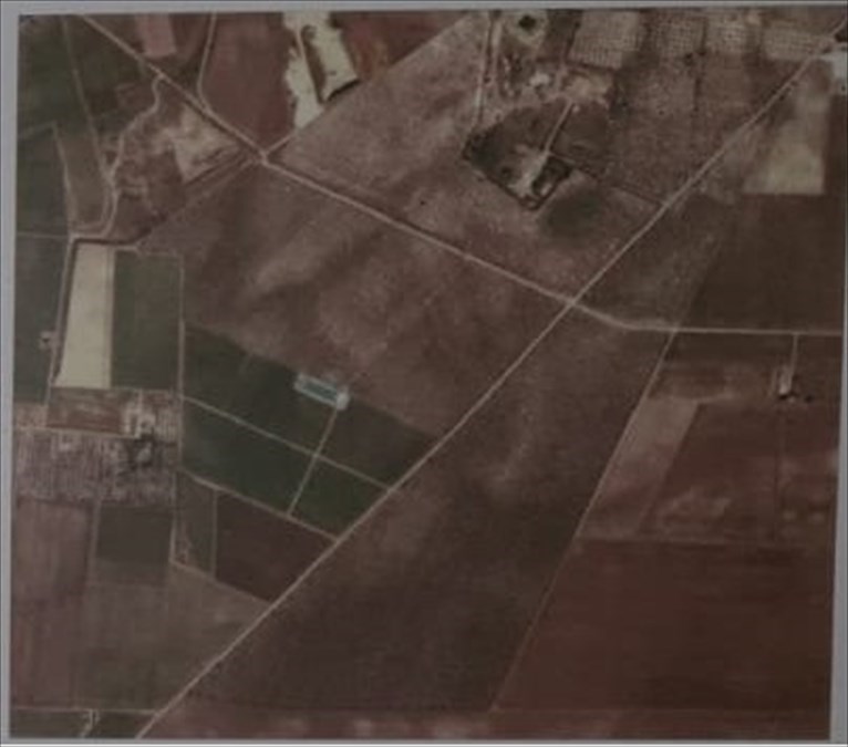 terreno agricolo in vendita a Cerignola