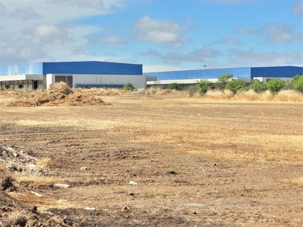 terreno agricolo in vendita a Cerignola