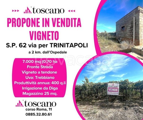 terreno agricolo in vendita a Cerignola