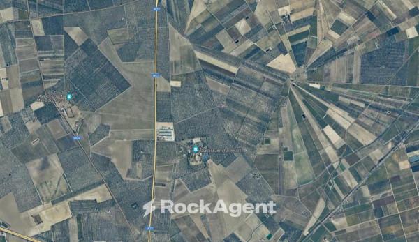 casa indipendente in vendita a Cerignola