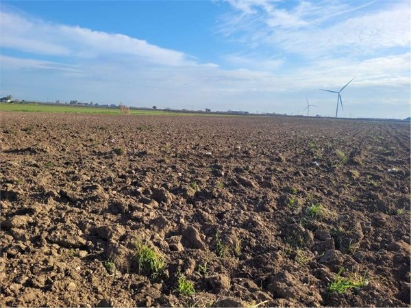terreno agricolo in vendita a Cerignola