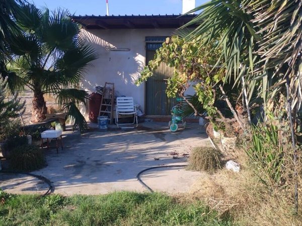 terreno agricolo in vendita a Cerignola