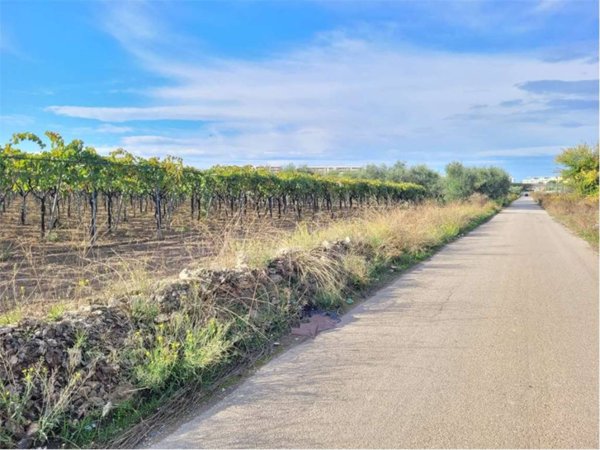 terreno agricolo in vendita a Cerignola